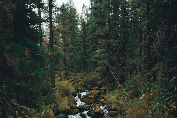 ������ ������ (����� 2)