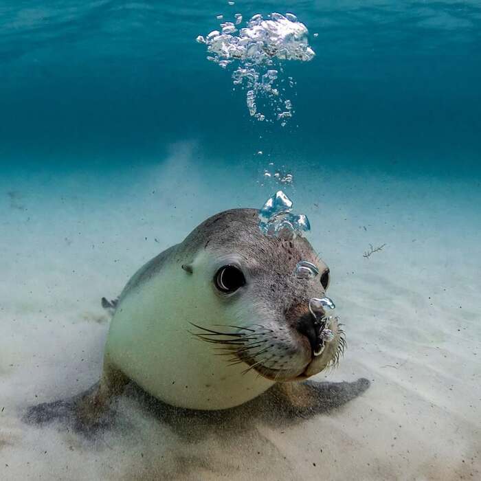 ������ �������������� �������� ����