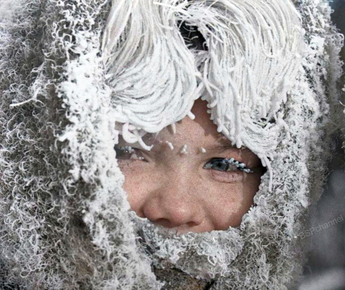 ��������: ������ ��������