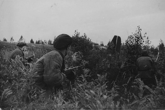 ����� ���������� ����������