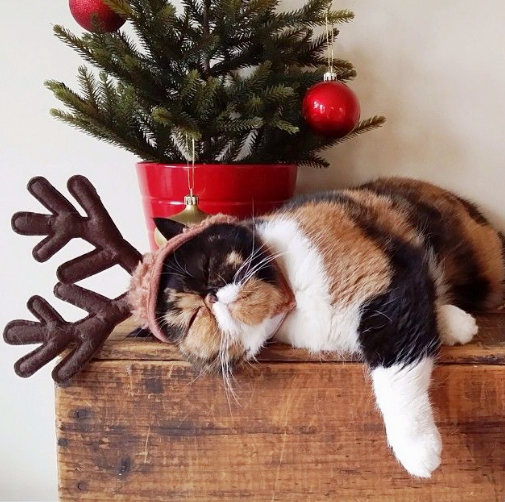 ��������, ��� ������� ������ �� �����, � ����� ���������� ��� �����)