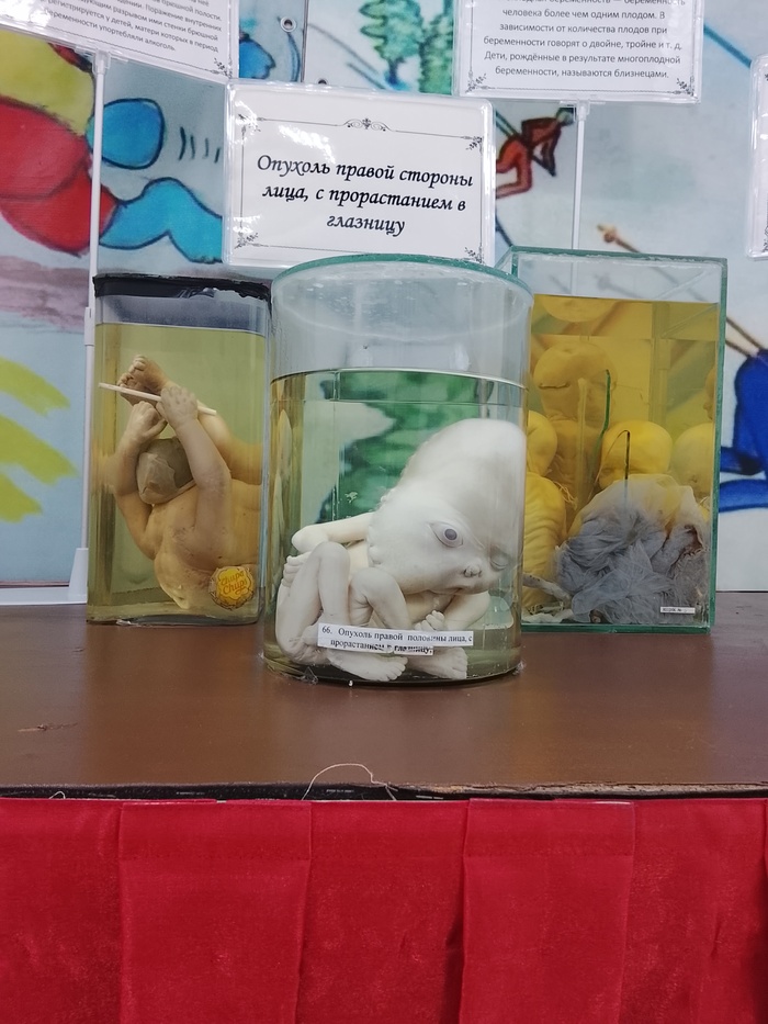 ����-����