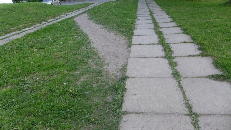 Reply to the post Continuing to 'clean up' after Chistoman - Chistoman, Arbitrariness, Kopeysk, Administration, Flower bed, Prosecutor's office, A complaint, Appeal, Cleaning, Longpost, Reply to post, Text, A wave of posts