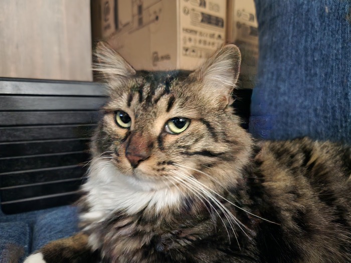 ���������� ������� #155