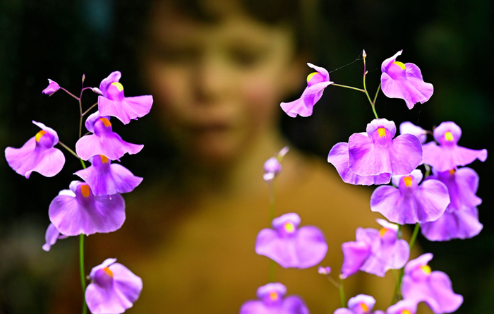 ��������� �������, ������ �������� � �������� "����������� ����" � ������������ ���� ��� "����������� ������" � ������//����: ������� ��������/��� �������