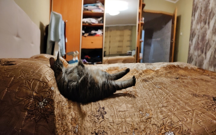 ������ ���� ����� � ���� ����