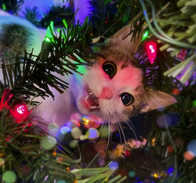 С НОВЫМ ГОДОМ ВСЕХ!