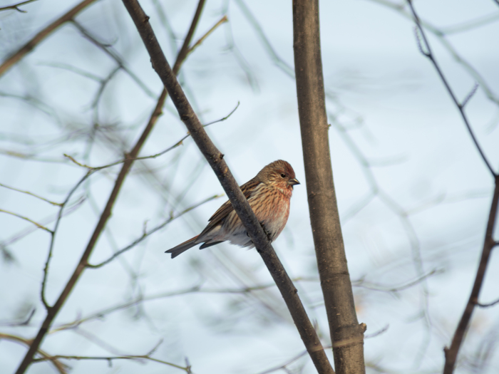 ���-�� ����������🐥