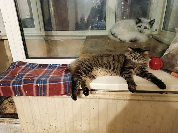 Плед - не наша тема!