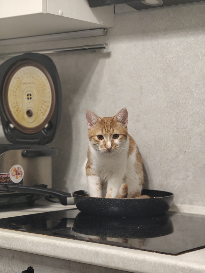 ����� Metal.Tango � ���� ������ ���������� ����