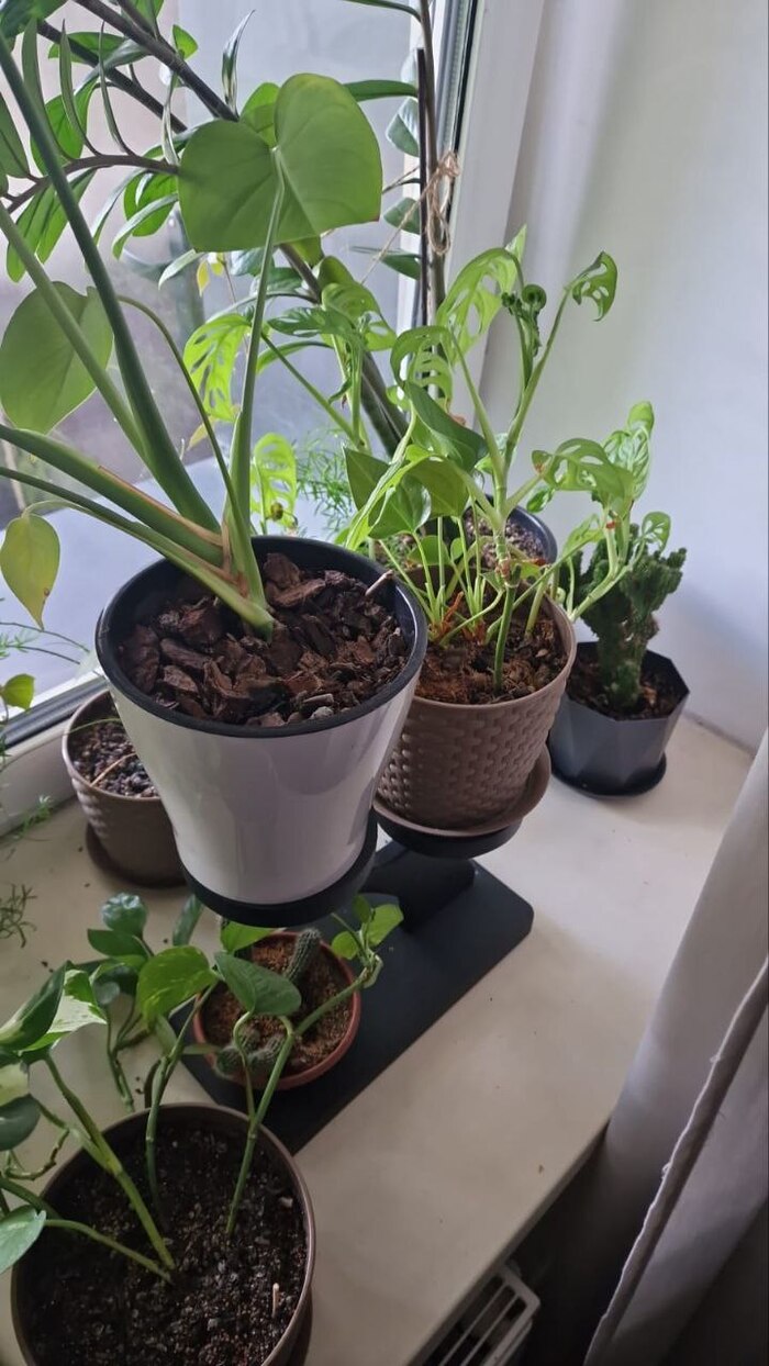 ����� ������ �� ����� �� ������������)