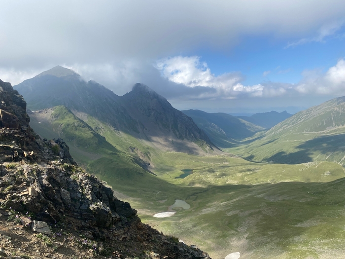 ���� ���������