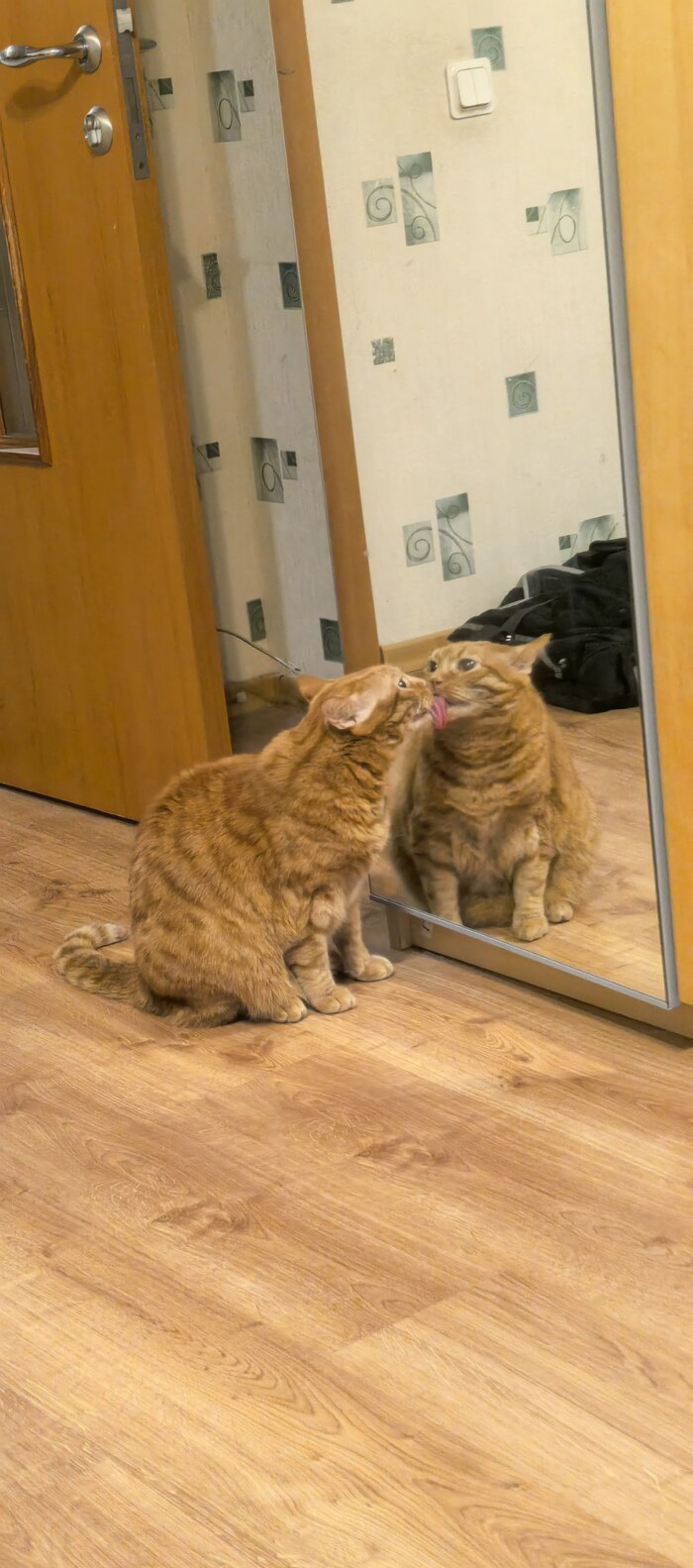 ������ ���� ����