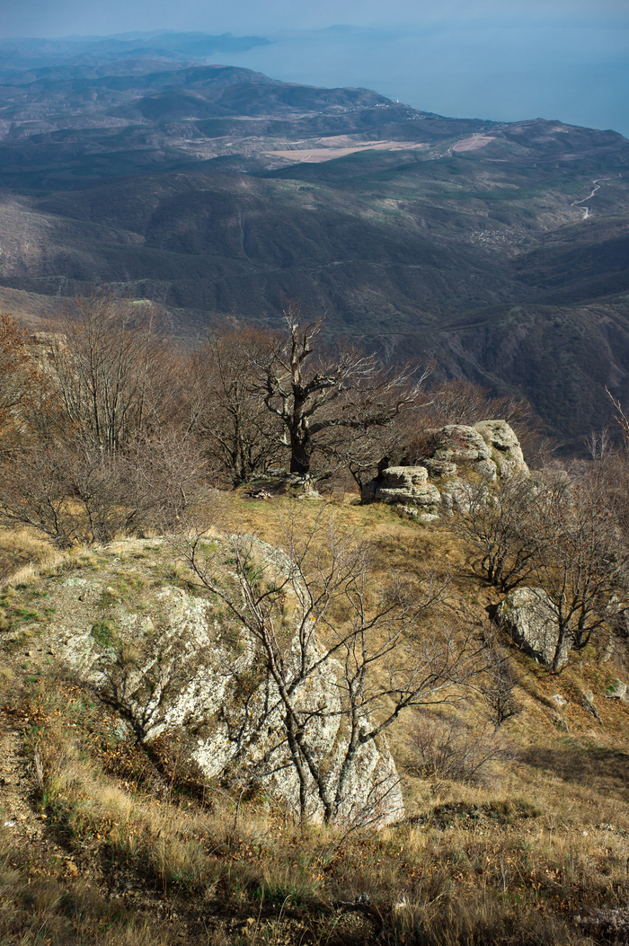 �� ����� �������� ���������� ����������