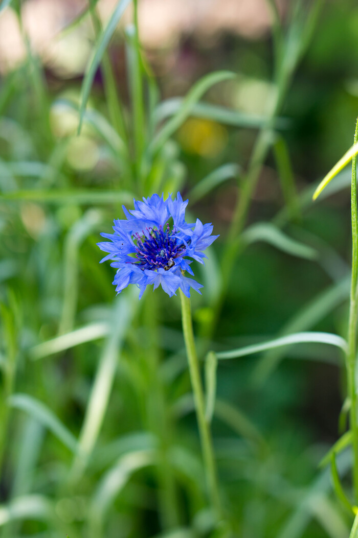 �� ����� �������� ���������� ����������