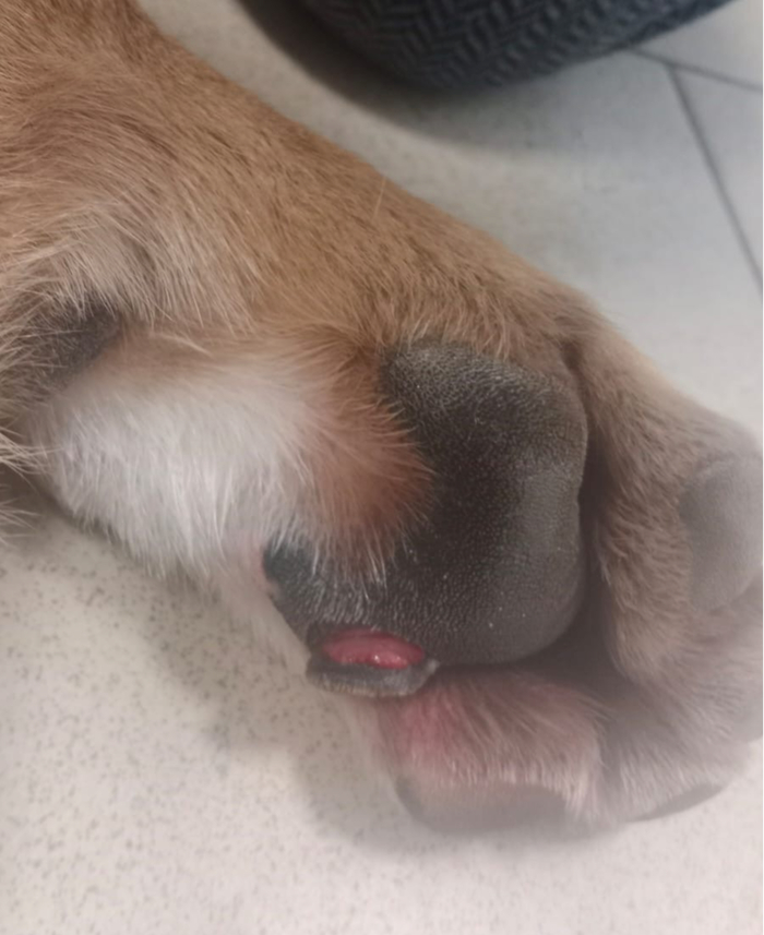 ����� �� ����