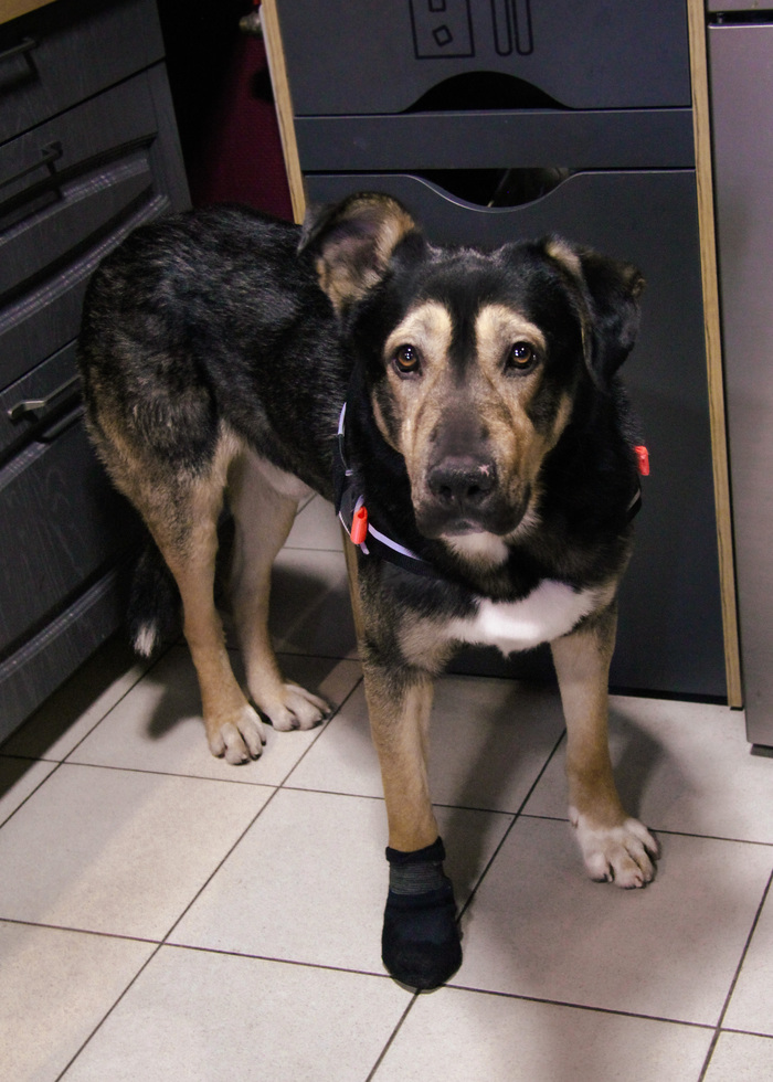 � �����)