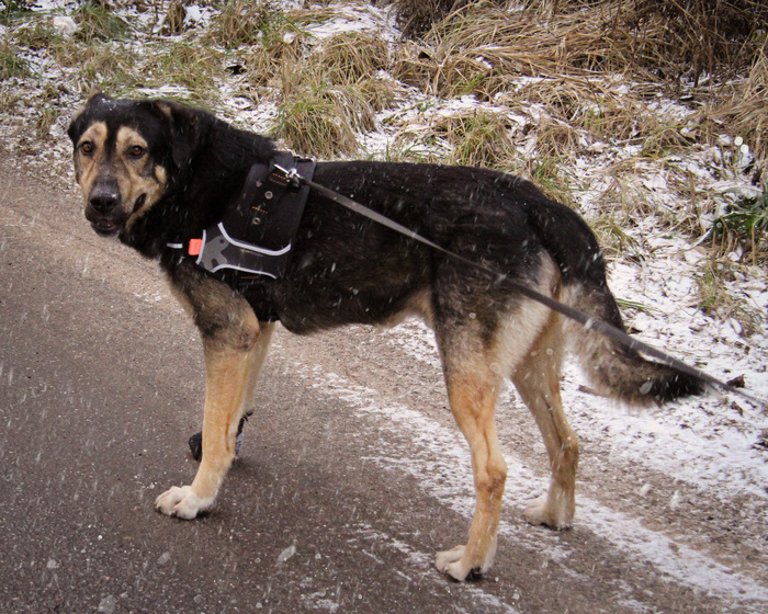 � ������� ���)