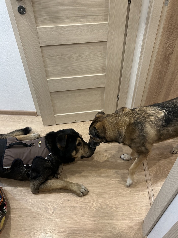 ����� � ��� �������