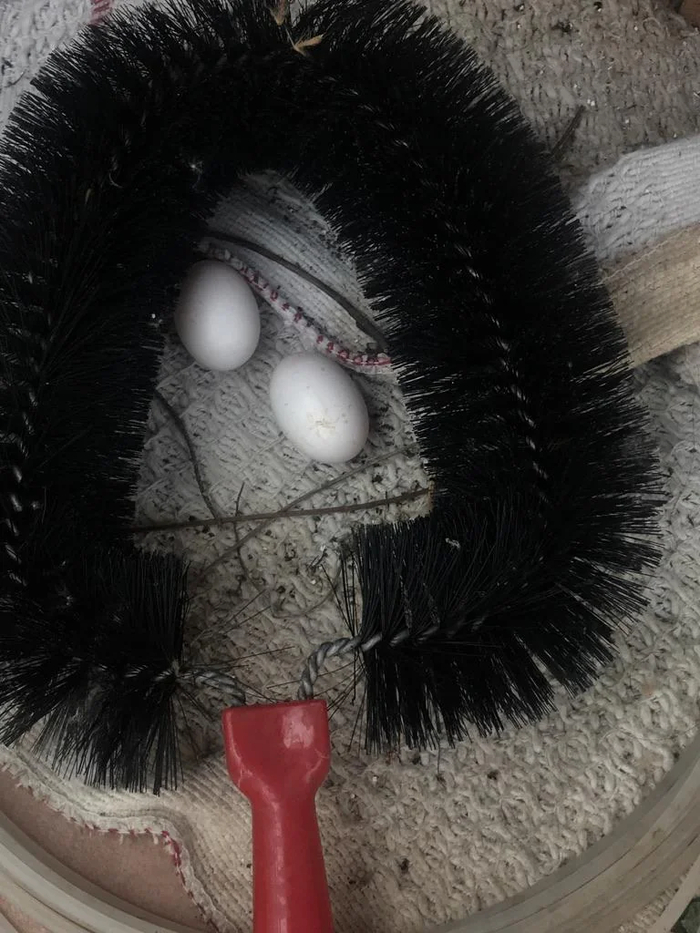 �������������� ���� - ��������� ����� ��� ���������) 