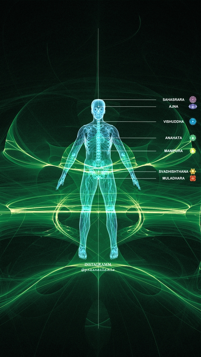 ���� ��������