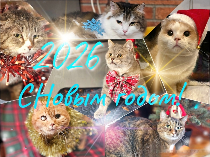 � ����� ����� ����������� ��� ������ �� ������ !