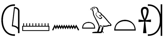 ������ ��� ���� (������ ��� ���): J-M-N-Tw-T-Ankh.