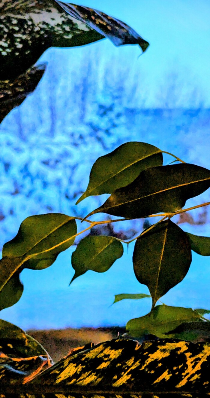 �� ����� ����