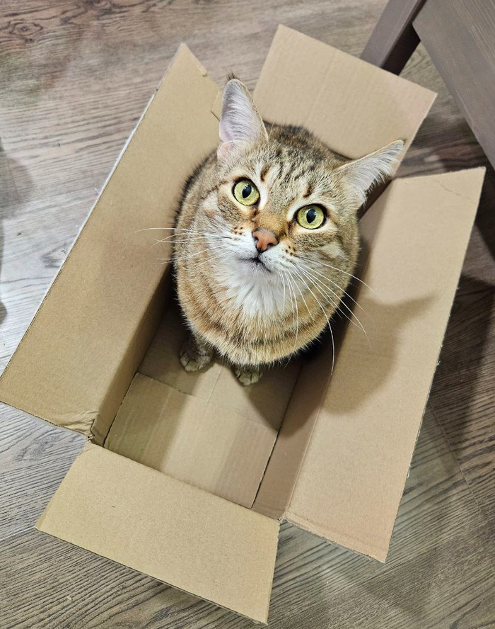 Это все мне?!