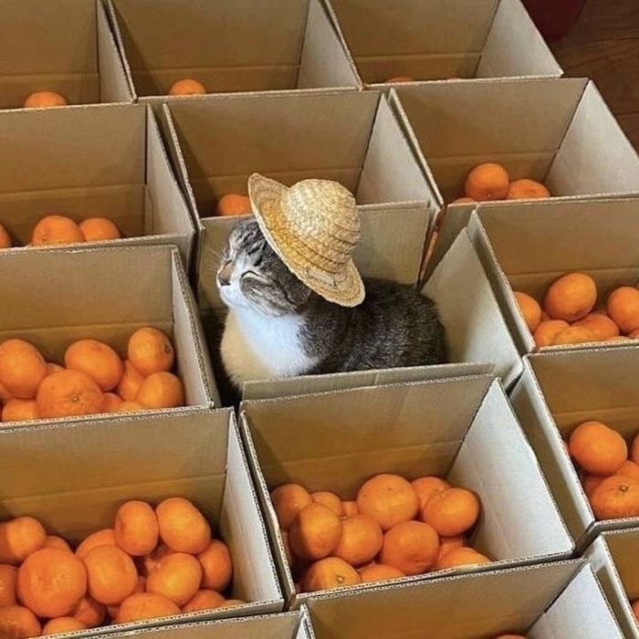 �������� ���������� ����� ������ ����