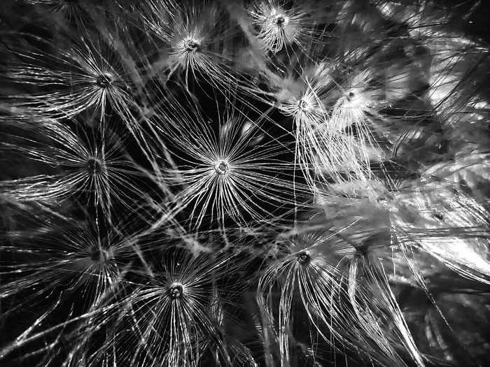 � �����������