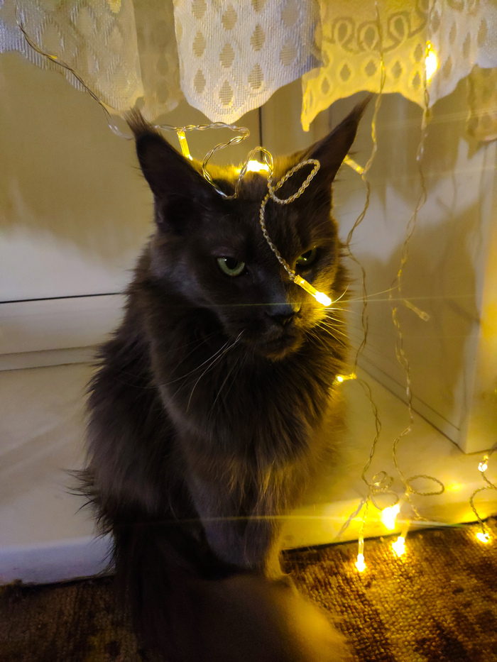 ���������� ����������