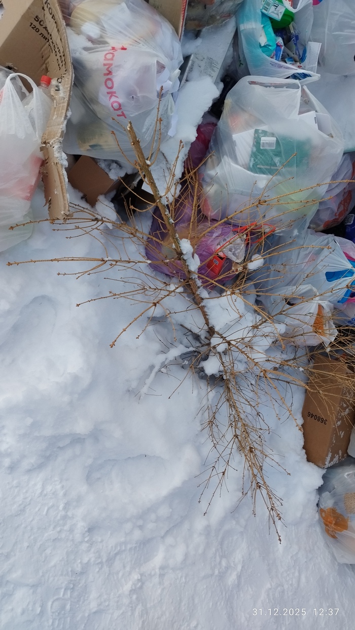 Кто-то держался до последнего