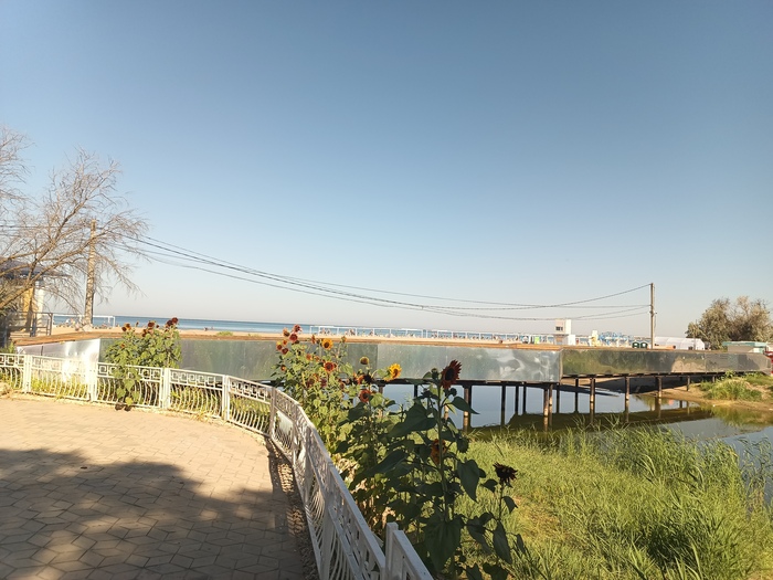 ����� �������� �. ������ � ������ ����