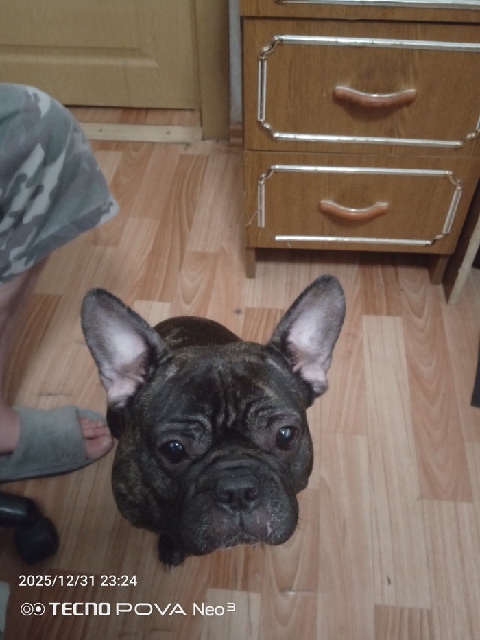 ���� ���? ������� ����! 