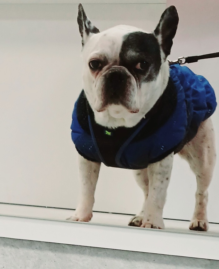 � ����� �����!