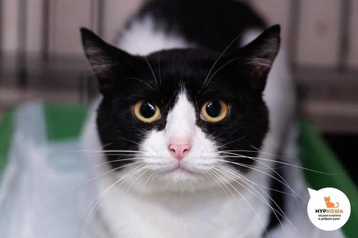 ��� �������, 2 ����, �� ������������� ��������.