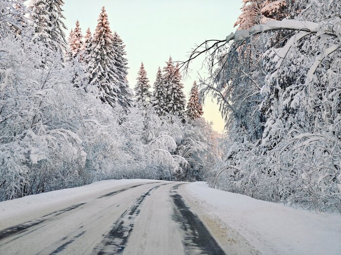 ������ ���� ������ ����