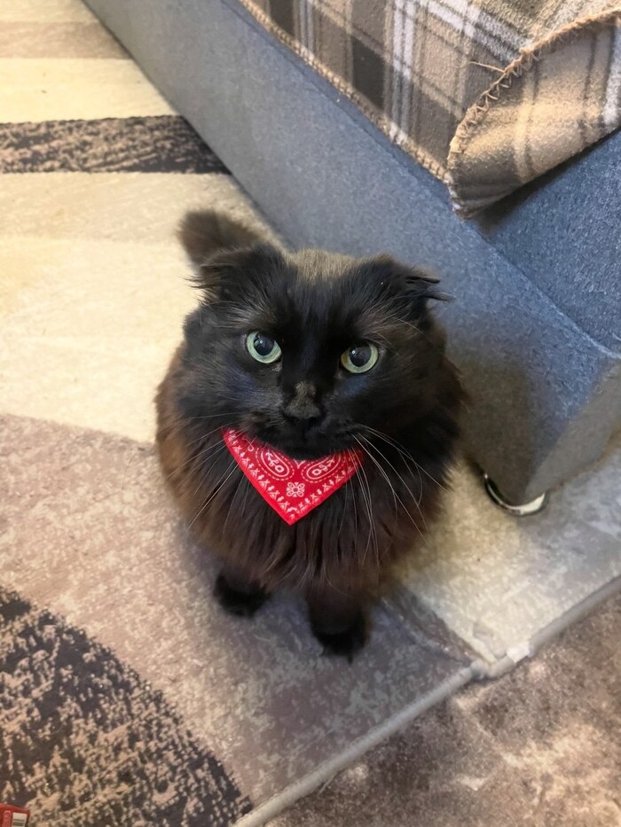 ��� ������ ���������� ���� � ������� ����