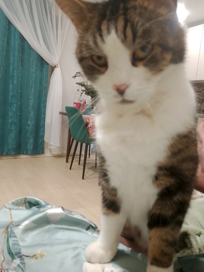 ׸ ��������? ����� �����!