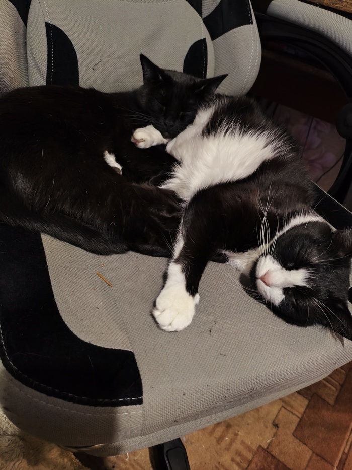 �������