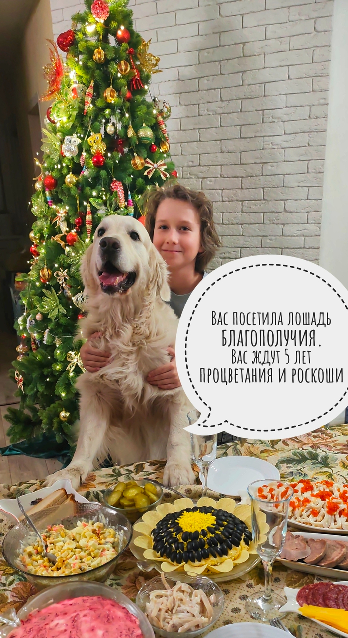 � ����� �����))