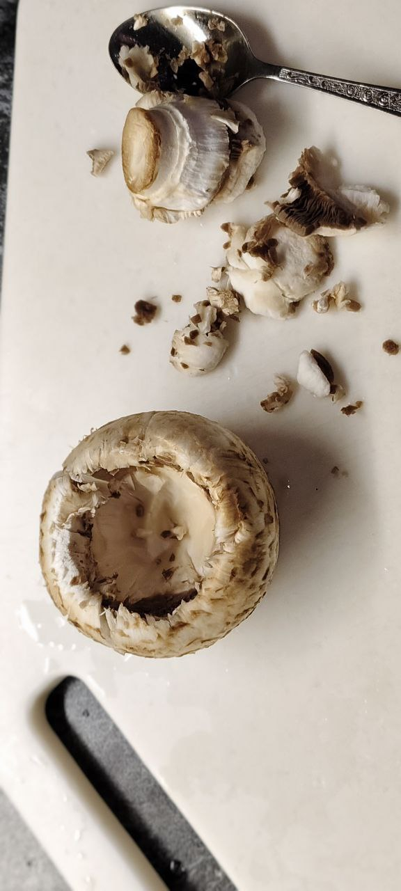 ���������, � ������� ���� � ������ ����� ������ ����� � �������� ��� �������