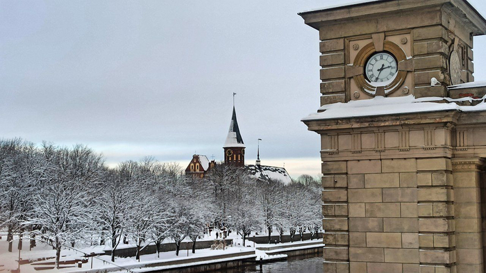 С Новым Годом, коллеги!