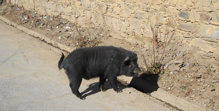 ������ ���� � �������