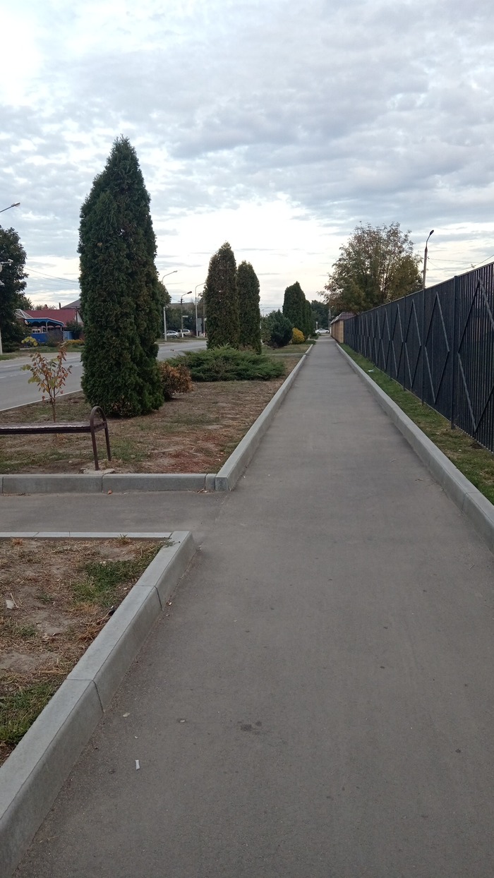 Центральная улица