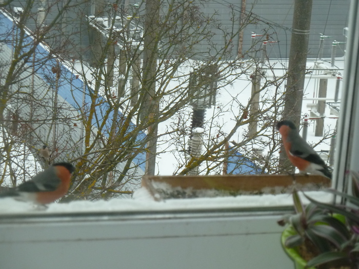 ����� � �������� ��������