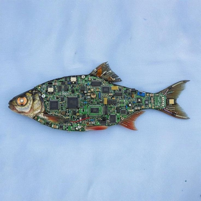 ���� �������!