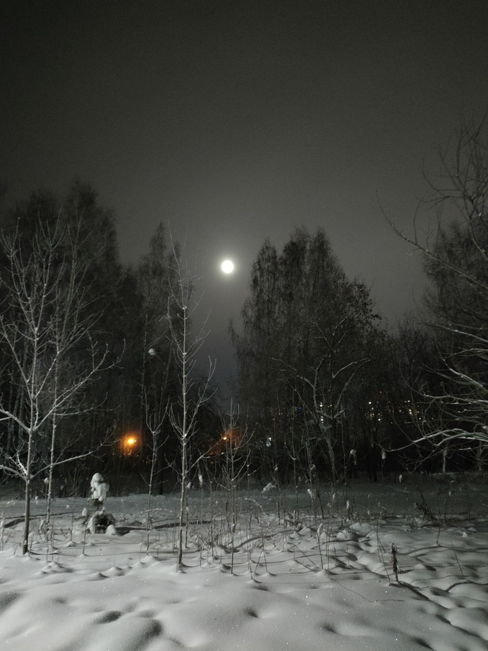 Романтика зимнего леса