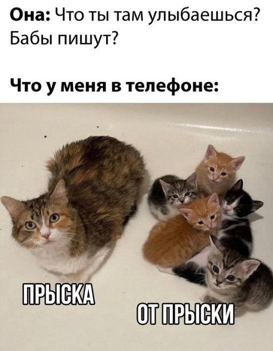 �� ������